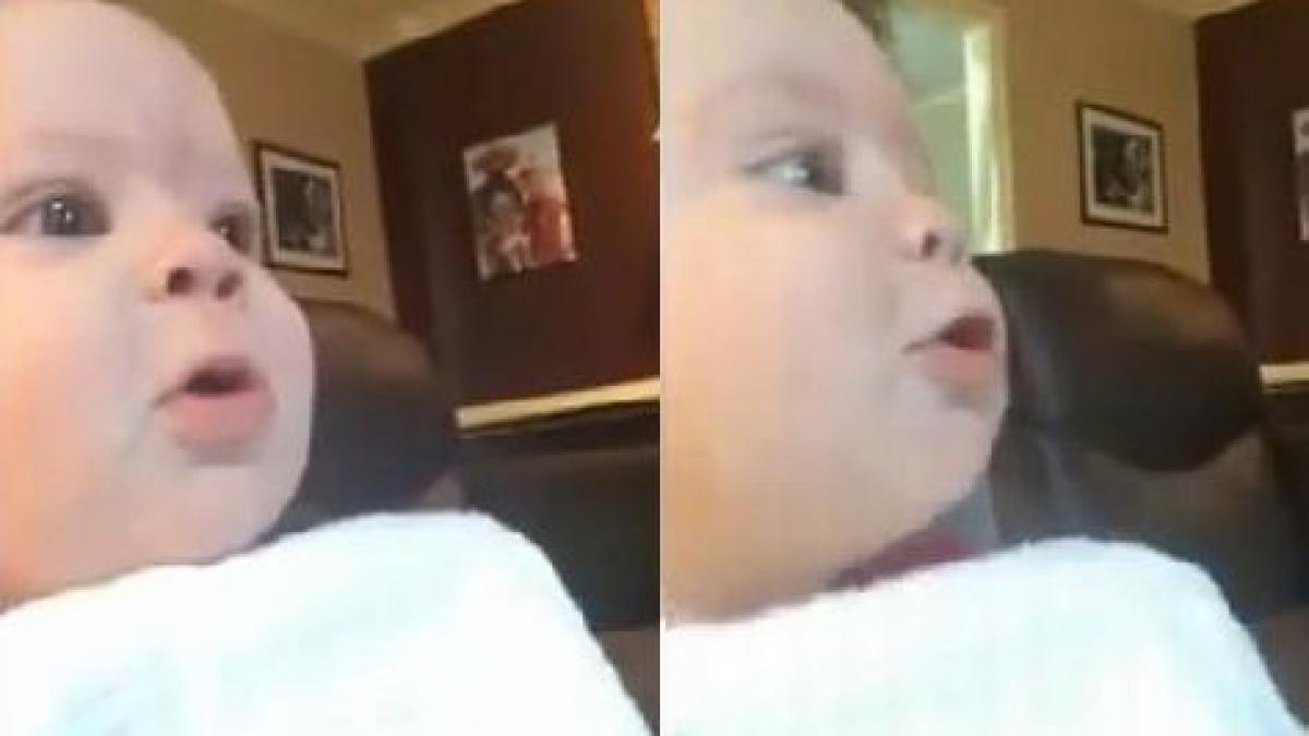 un bebe de 5 mois se mesure aux deux chiens de la maison