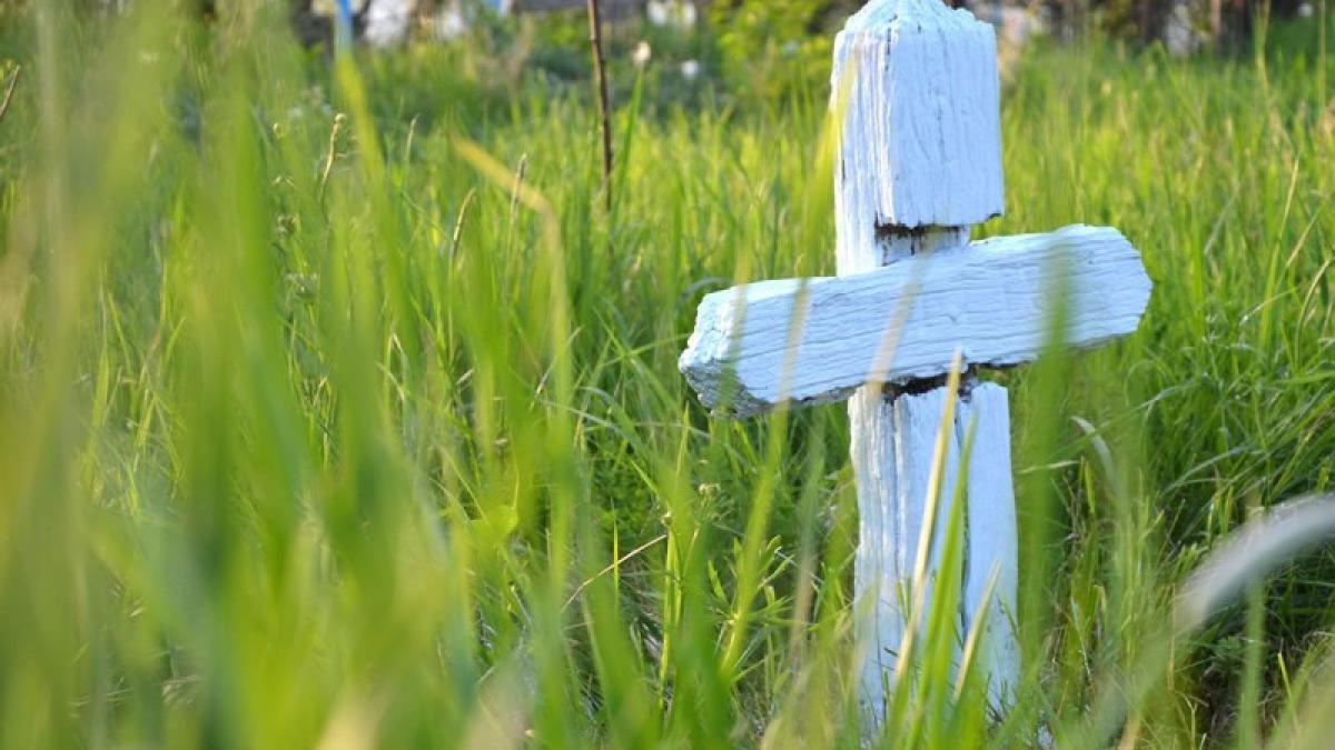 morminte gratuite pentru victimele tragediei din club colectiv