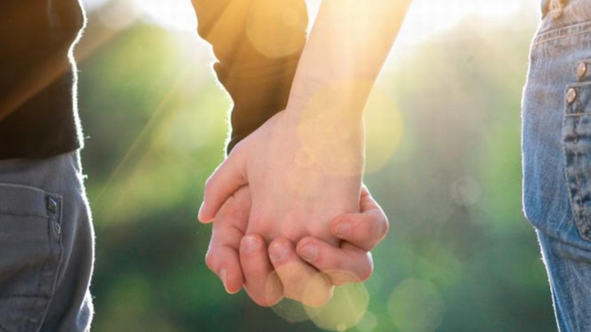 frati club colectiv viata moarte supravietuire