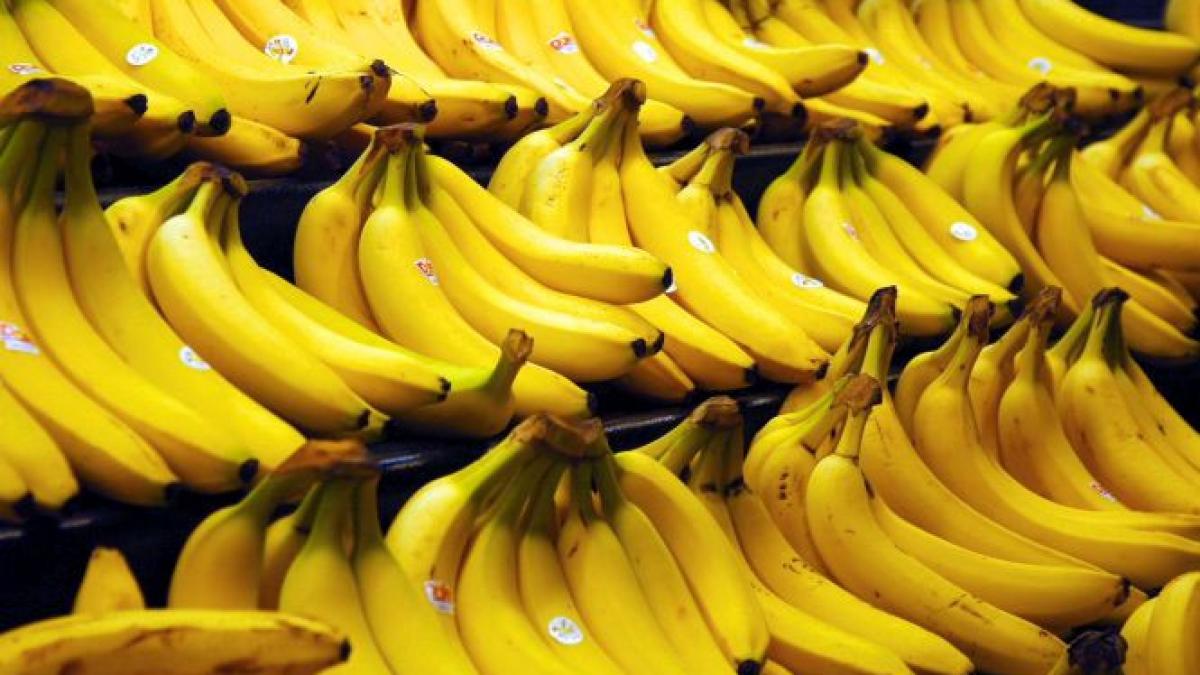 romania importa slanina exporta banane
