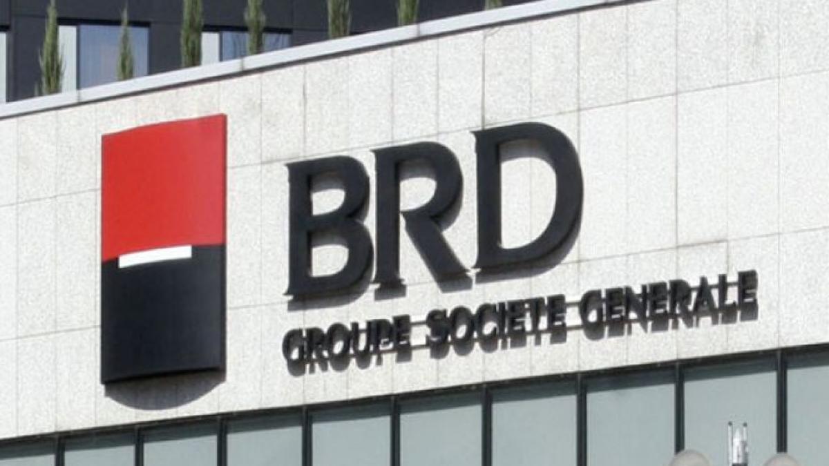 angajati brd greva contract munca