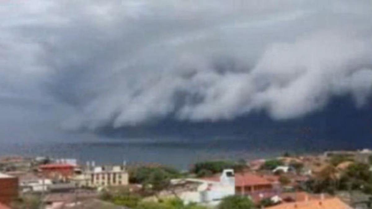 tsunami cer imagini australia sydney