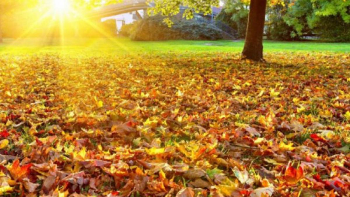 vreme prognoza meteo temperaturi