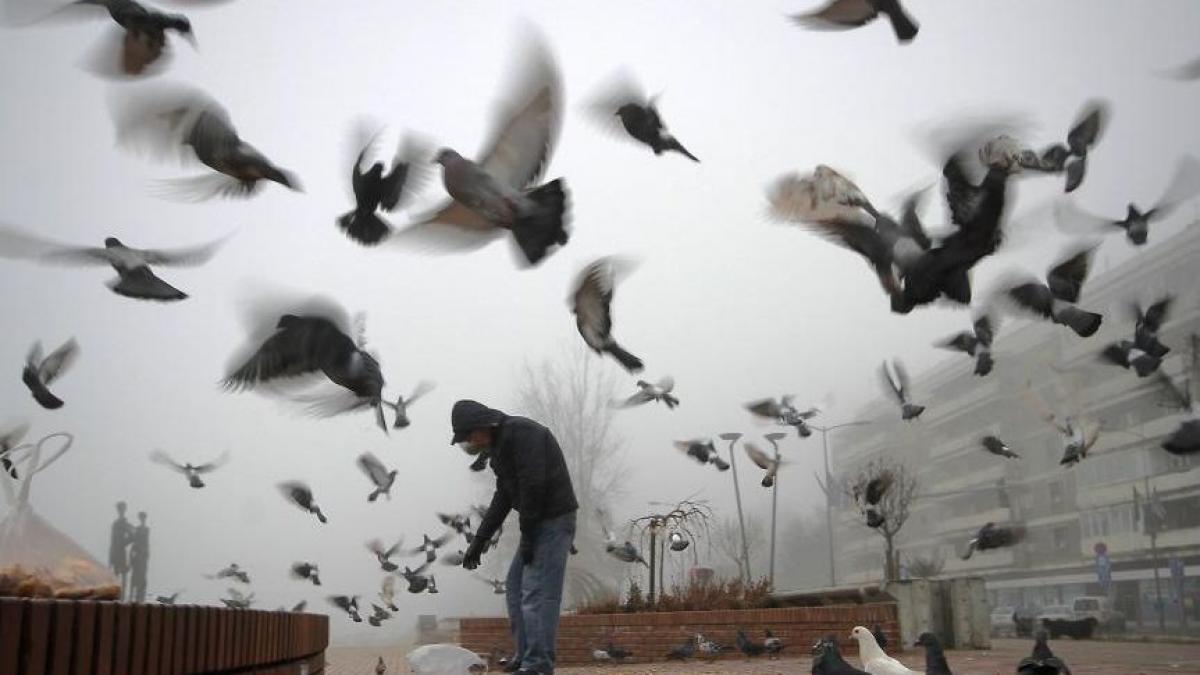 cod galben de ceata in mai multe judete din romania