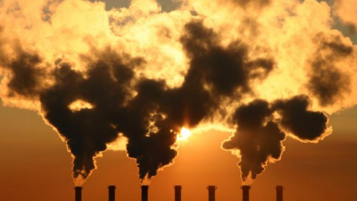 poluare oms planeta periculoasa