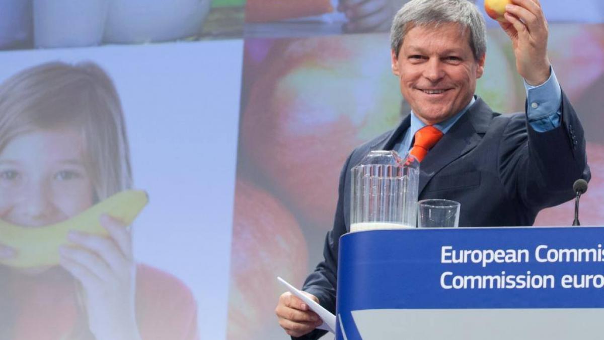 cand am putea avea guvernul ciolos ce prevede constitutia