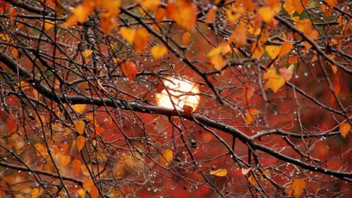 vreme meteo prognoza