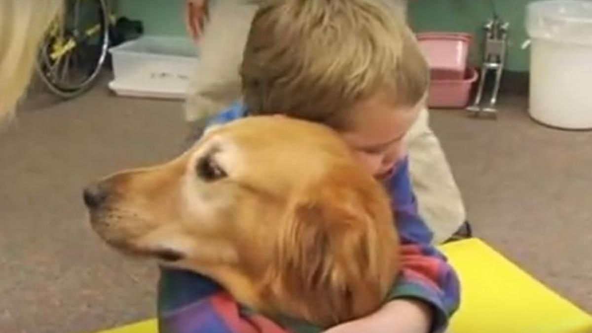 o poveste cu adevarat uimitoare efectul miraculos pe care un caine l a avut asupra unui baietel cu