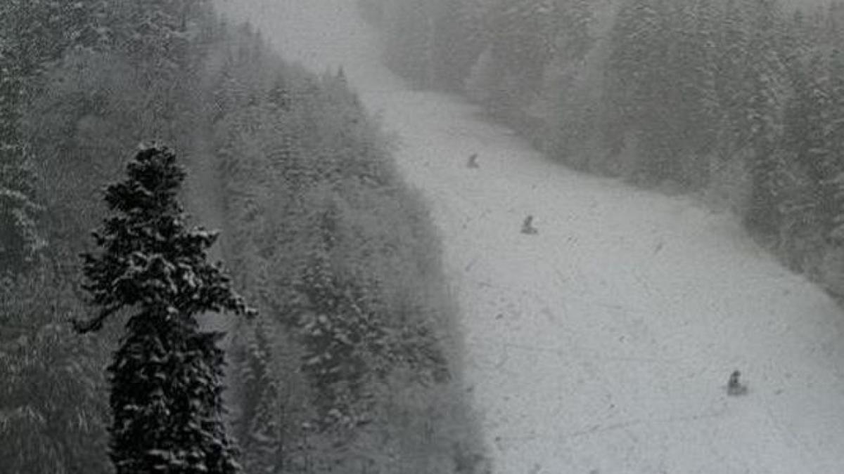 ninge iarna partia vartop