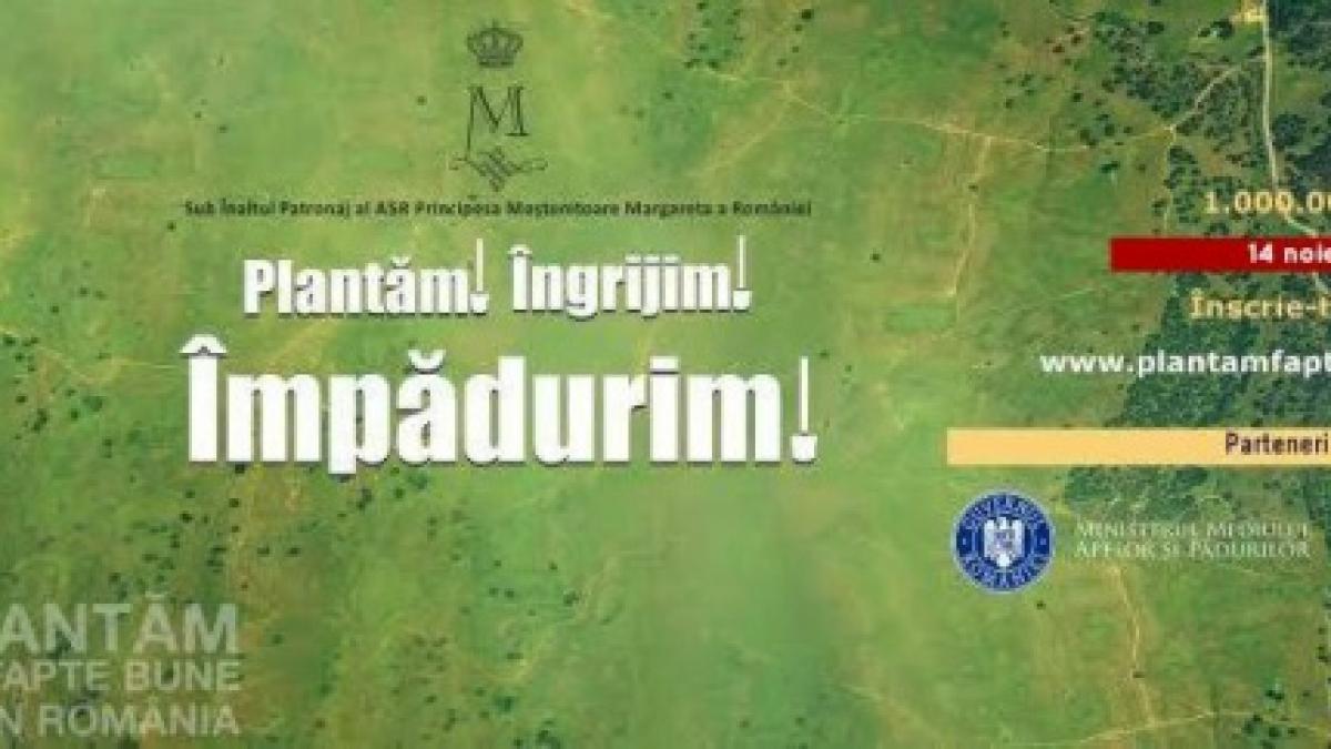 plantam fapte bune succes