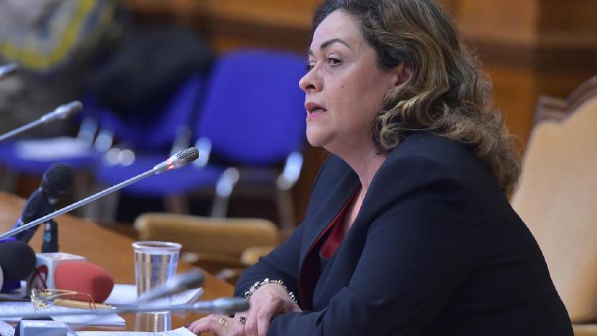 claudia ana costea a primit aviz favorabil in unanimitate pentru functia de ministru al muncii