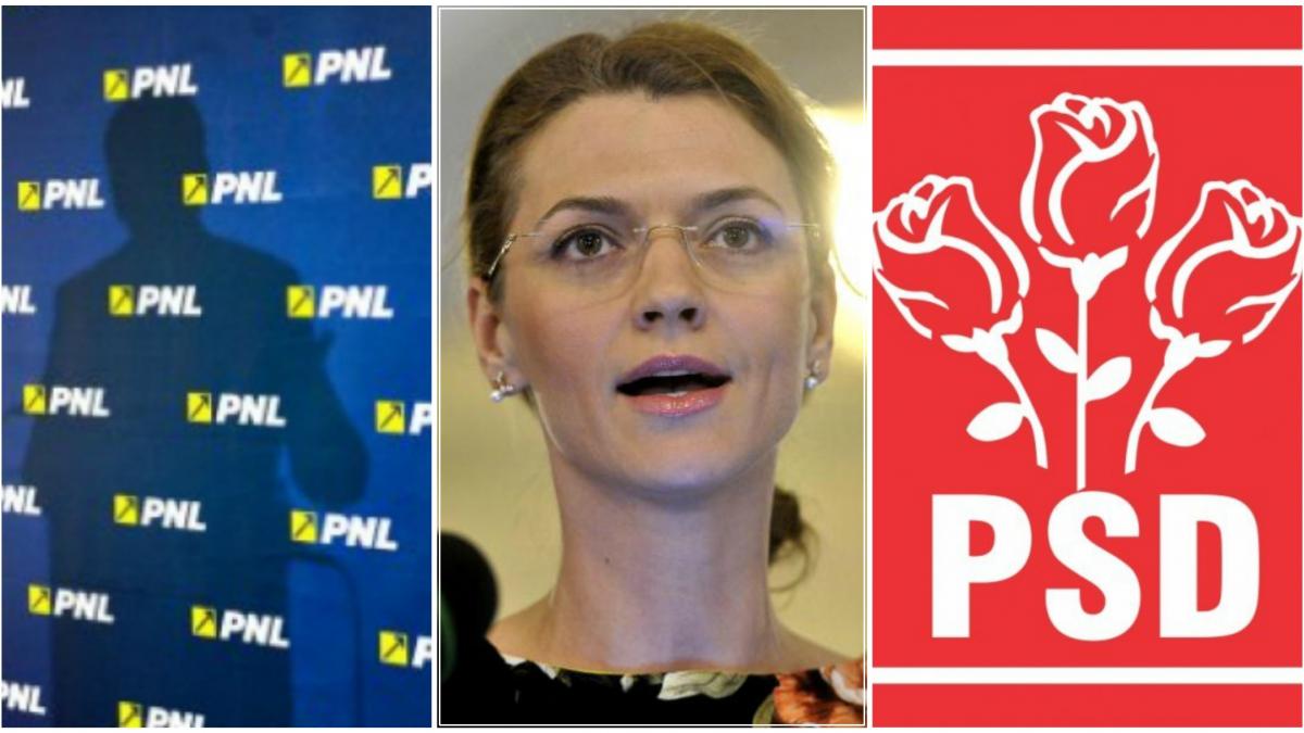 alina gorghiu da semnalul pentru inlocuirea pesedistilor din administratie cu oamenii pnl