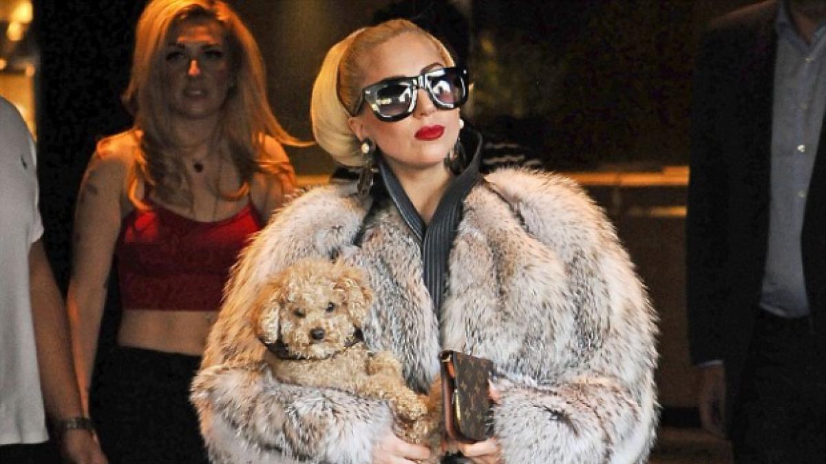 fabricarea de blanuri naturale