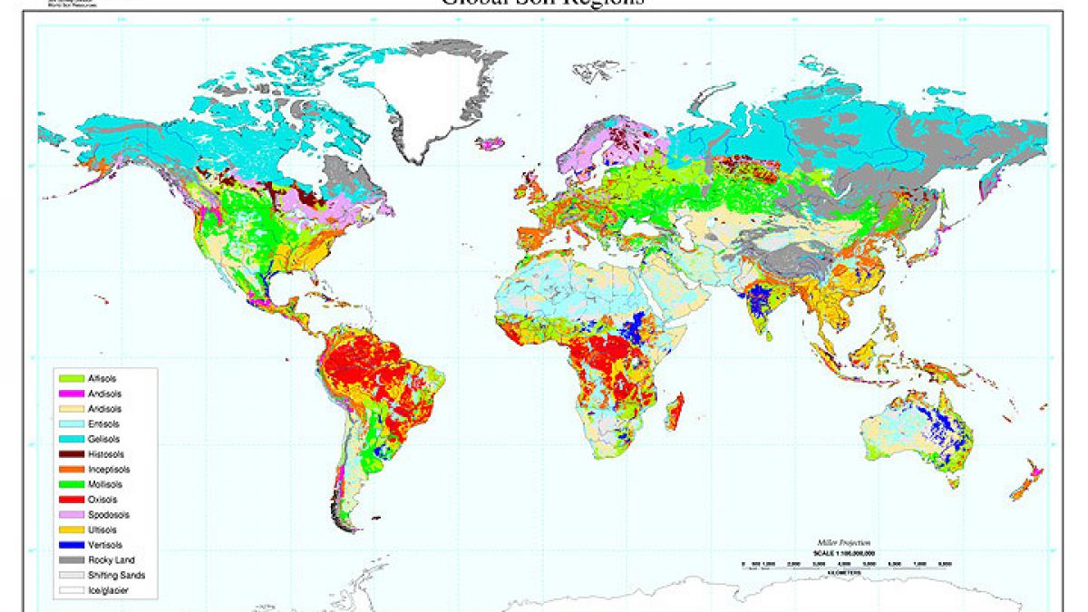 un ocean sub picioarele noastre cata apa se afla sub scoarta pamantului