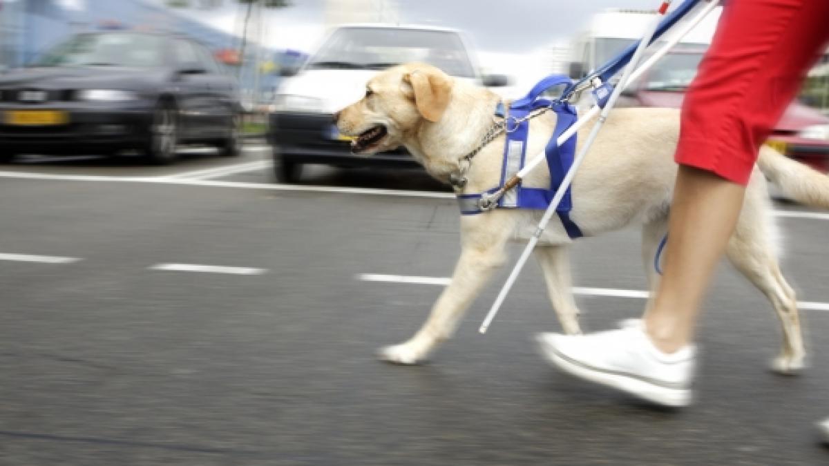 ajutor neasteptat pentru un profesor nevazator din targu frumos