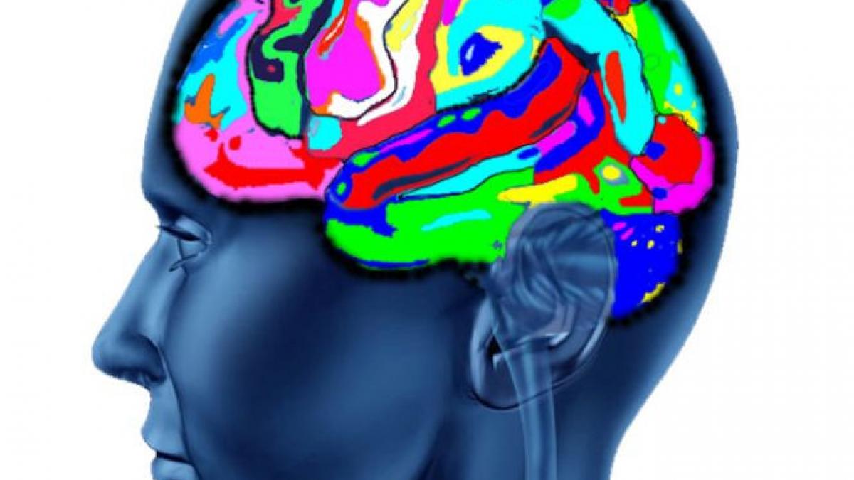 neuromarketing pret reclama creier client