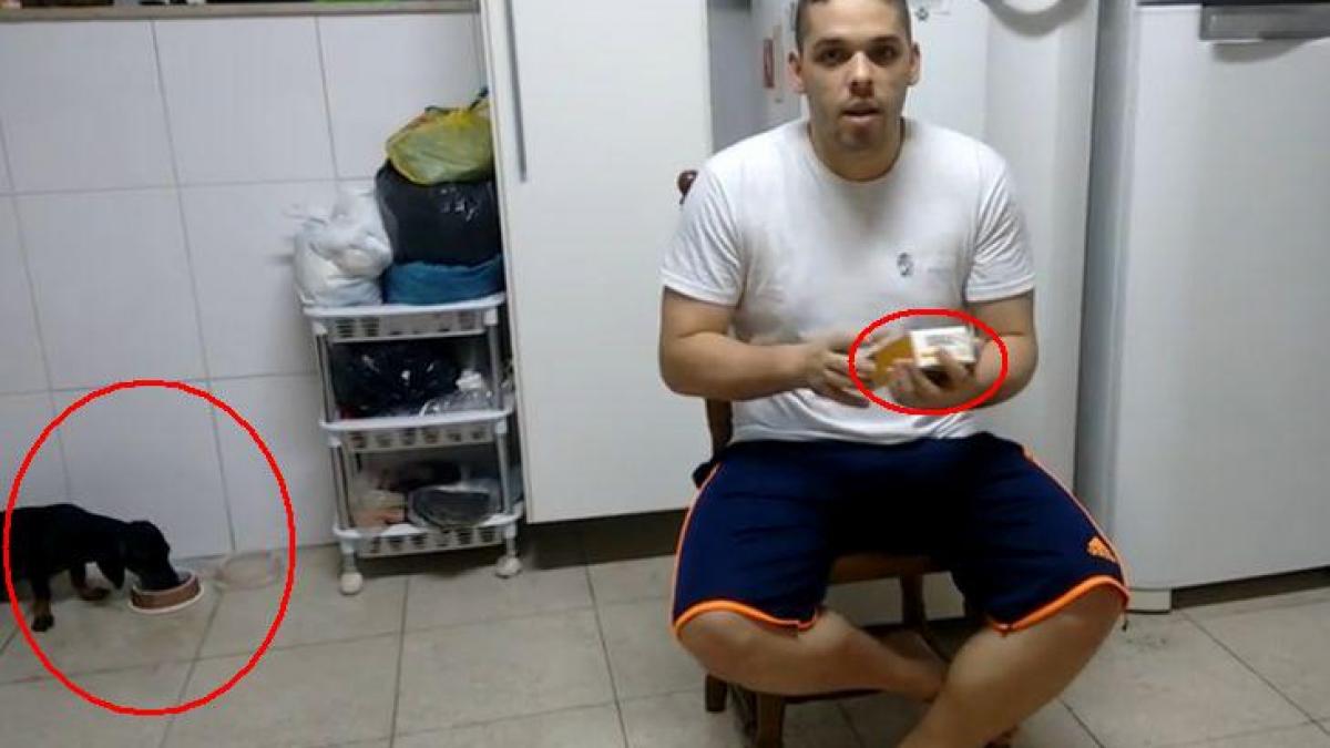 uite prin ce metoda isi pacaleste cainele sa ia medicamentul