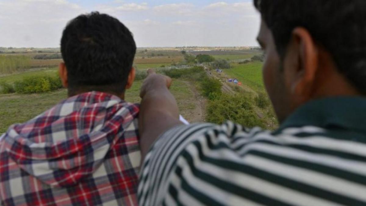 imigranti botosani frontiera