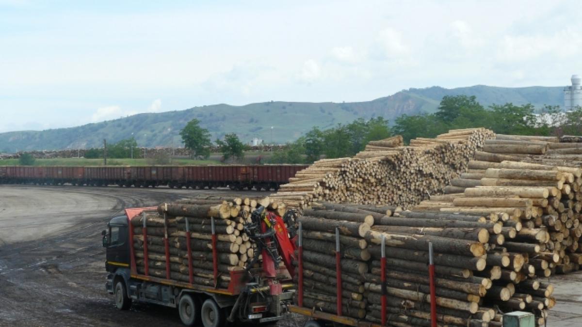 in premiera explicatii director