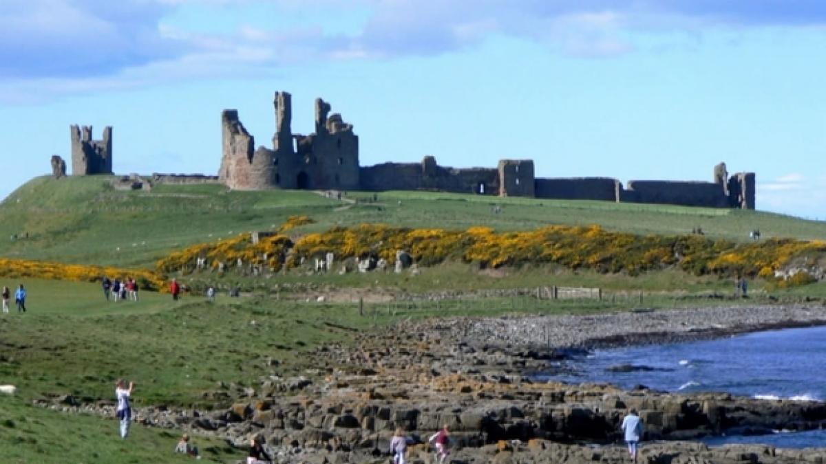 imaginea care iti pacaleste creierul afla ce se intampla cand o urmaresti