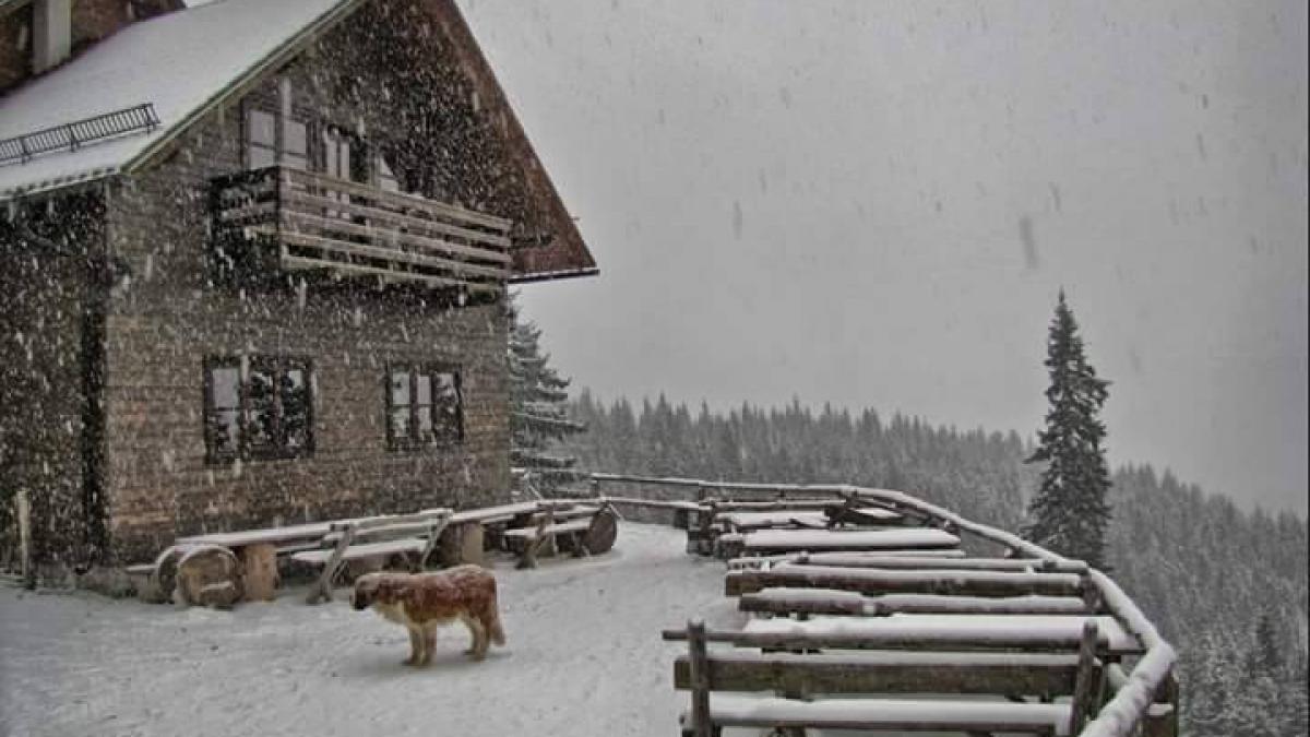 vin ninsorile prognoza meteo pentru urmatoarele 3 zile