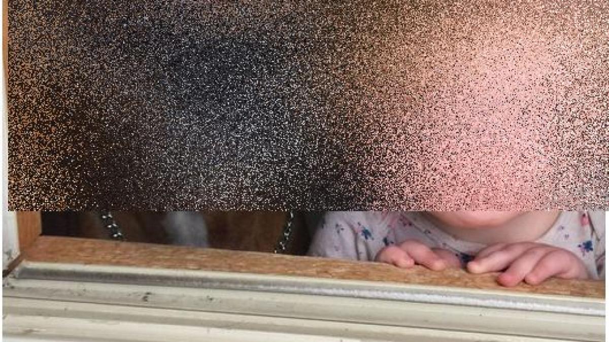 bucuria primei zapezi