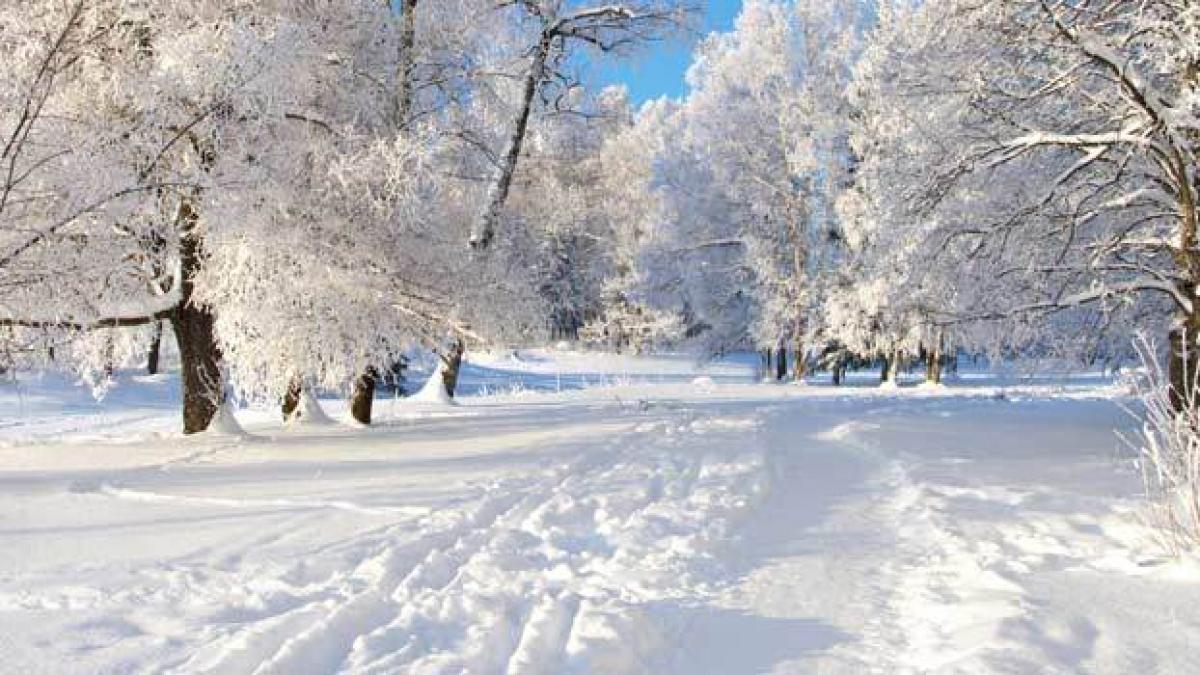 care e grosimea stratului de zapada la balea lac