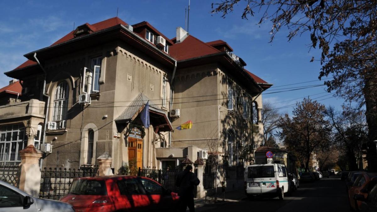 irina are voce sfioasa de copil si par castaniu lasat pe spate e desteapta irina si frumoasa si