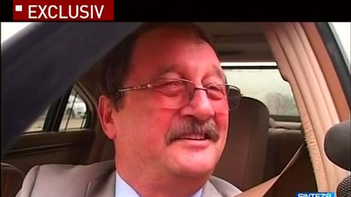 afaceri mircea basescu port