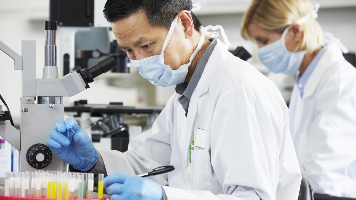 chinezii deschid cea mai mare fabrica de clonare din lume