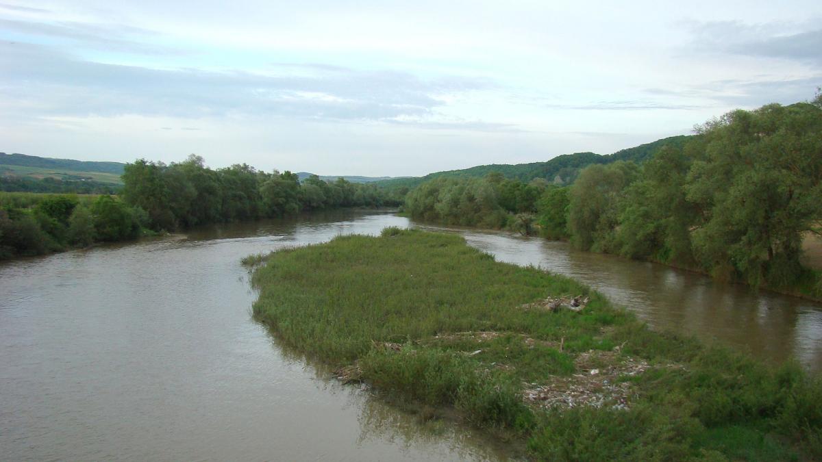 descoperire macabra in raul somes