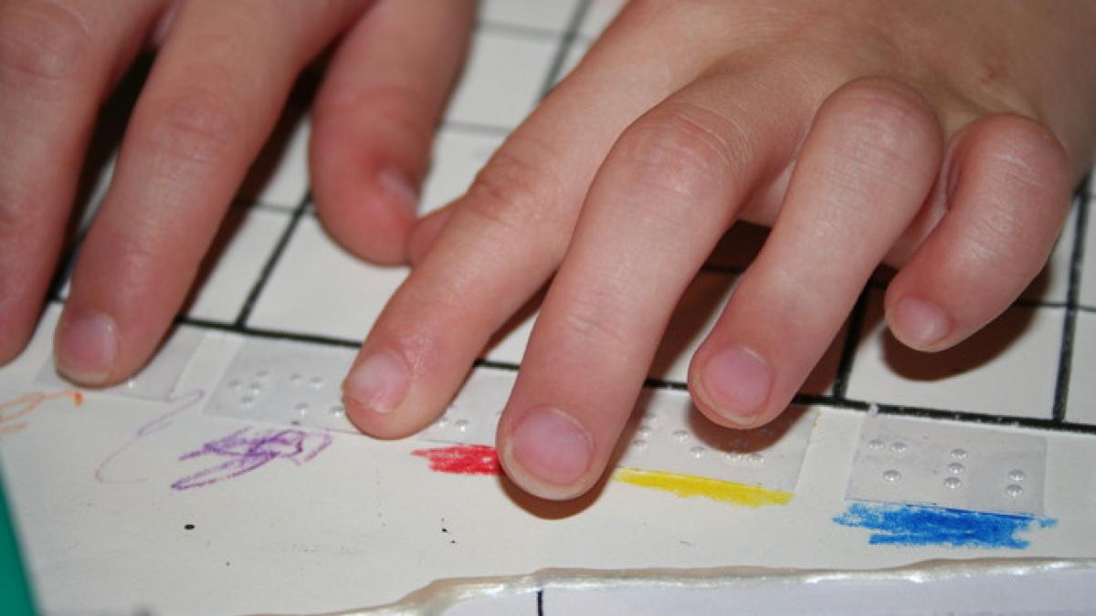 o scoala speciala din timisoara trebuie mutata proprietarul vrea sa vanda cladirea