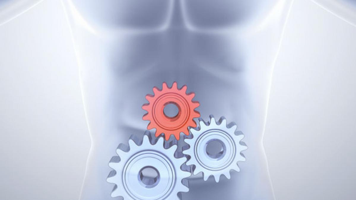 organism kilograme toxine