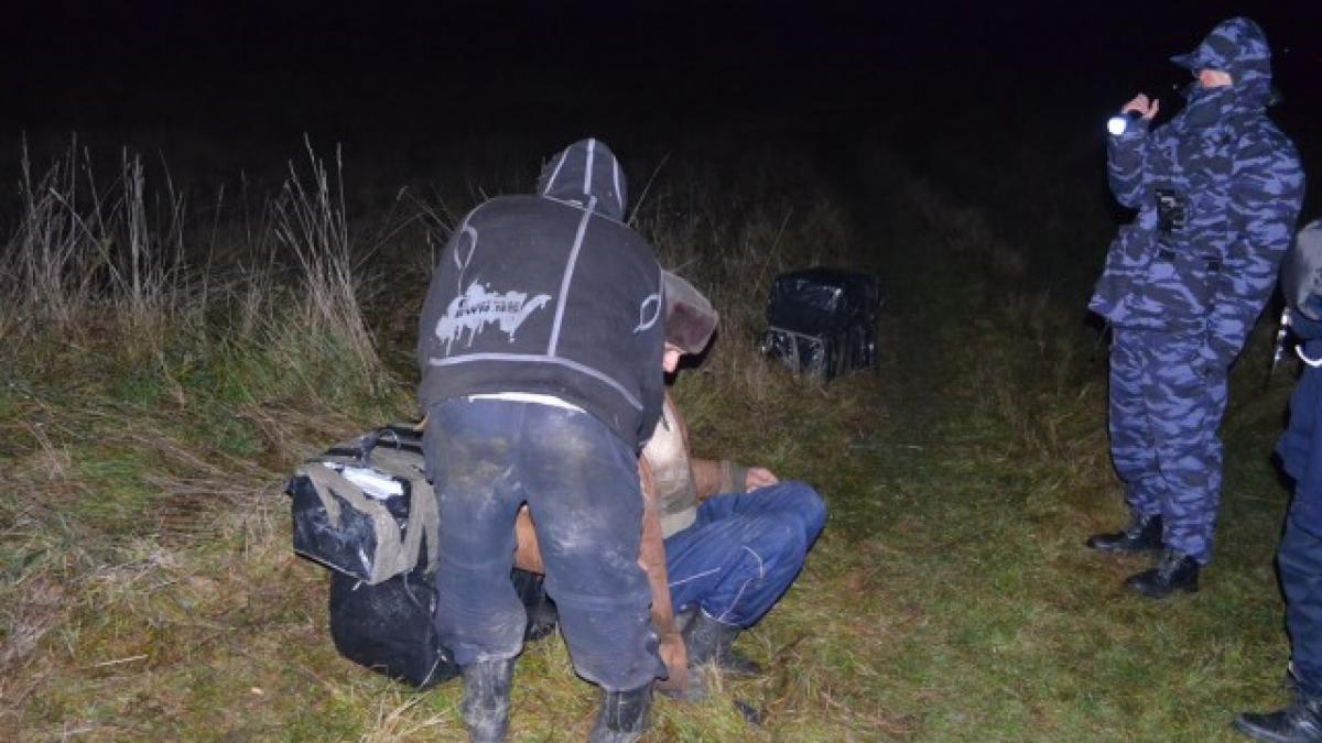 tigari contrabanda serbia