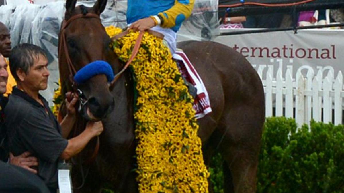 un cal pe lista celor mai buni sportivi al planetei in 2015