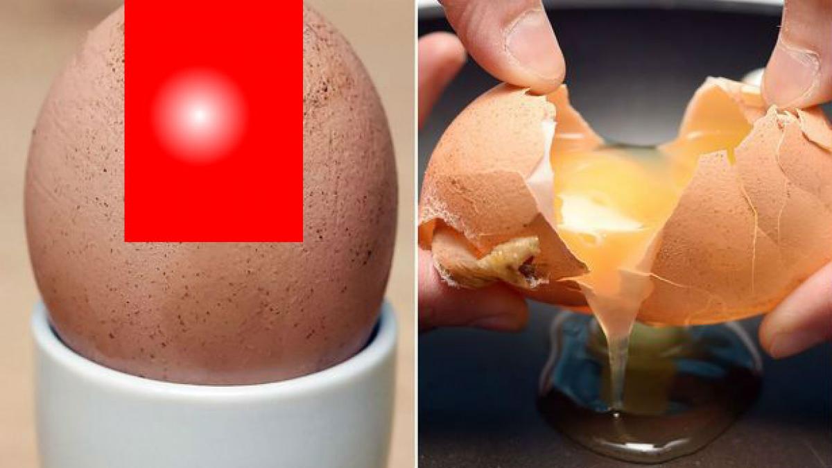 avea de gand sa faca o omleta a ramas impietrita de ce a vazut atunci cand a deschis cutia cu oua