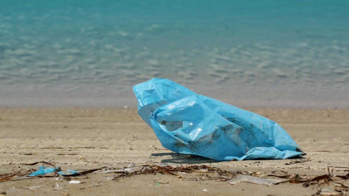 descoperire socanta pe plaja dintre venus si saturn zeci de seringi folosite au fost abandonate