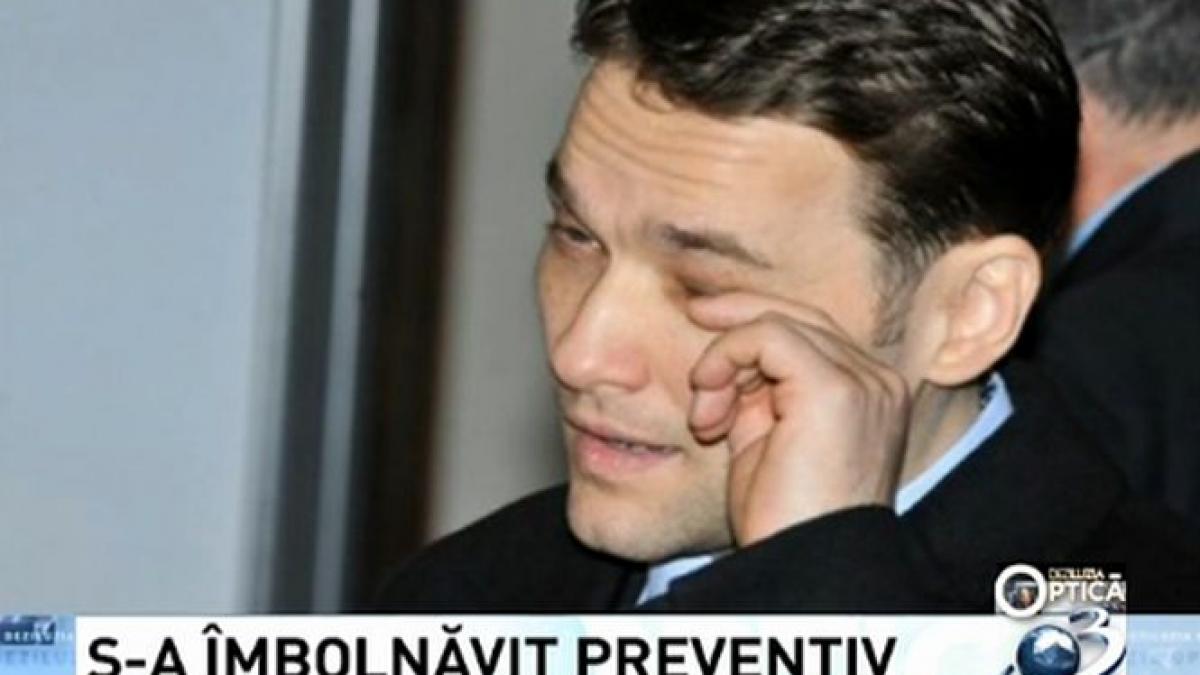 felix rache deziluzia optica sova