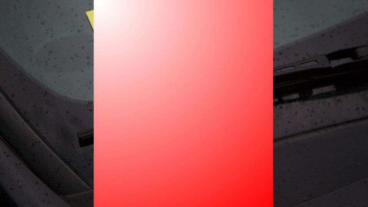 si a dus copilul la un festival intr un parc central ce a gasit in parbriz i a taiat respiratia