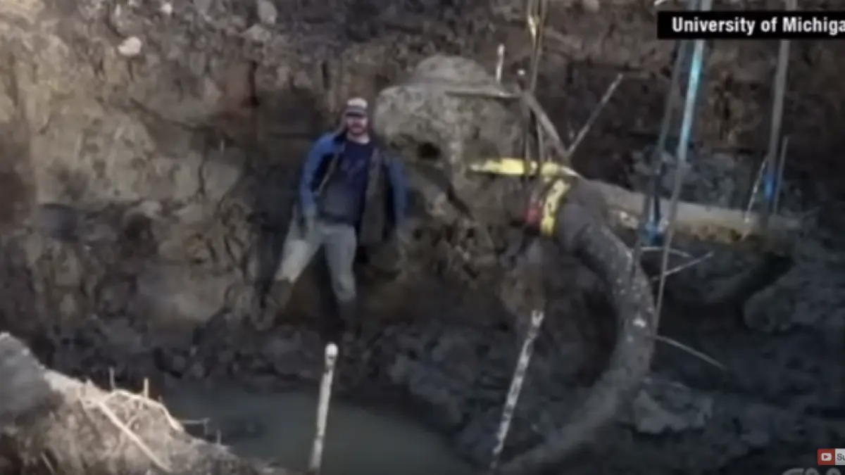 a crezut ca a dezgropat un stalp de gard surpriza uriasa pe care a avut o cand un profesor