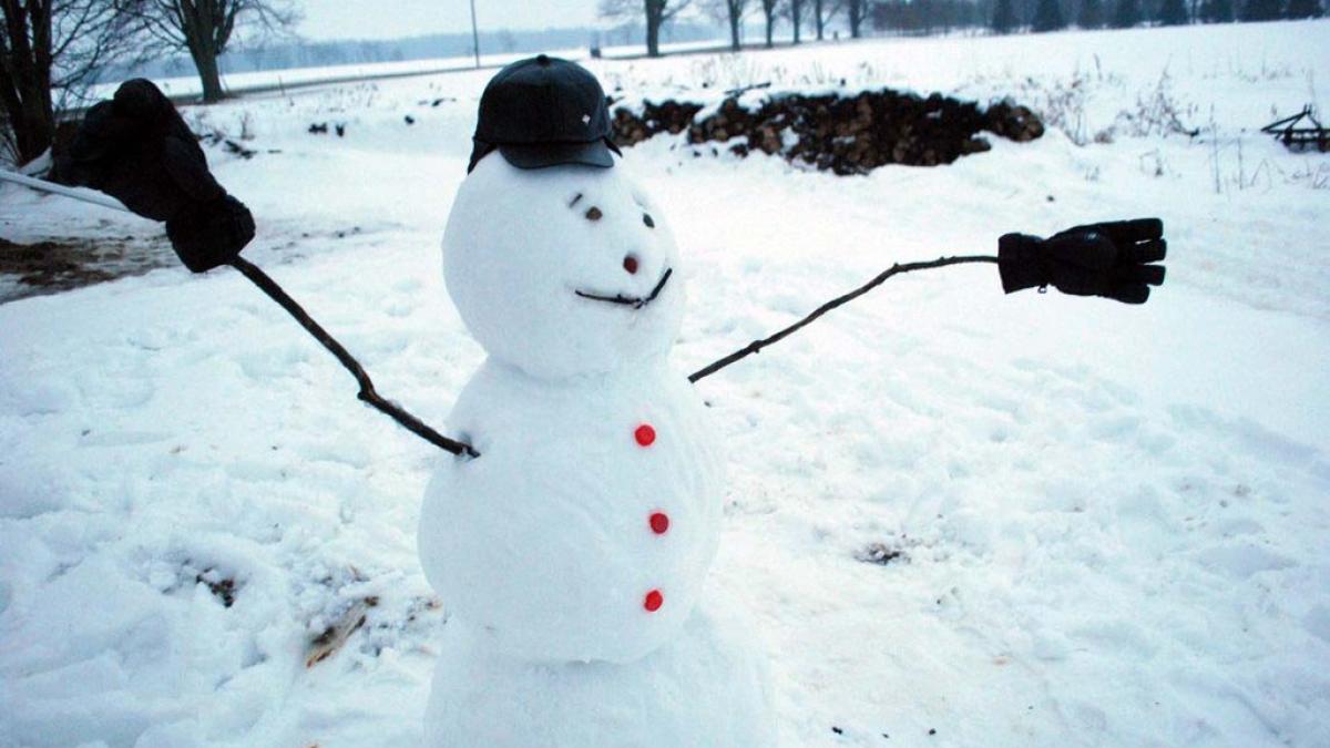 dorel tunde iarba si daca e zapada video