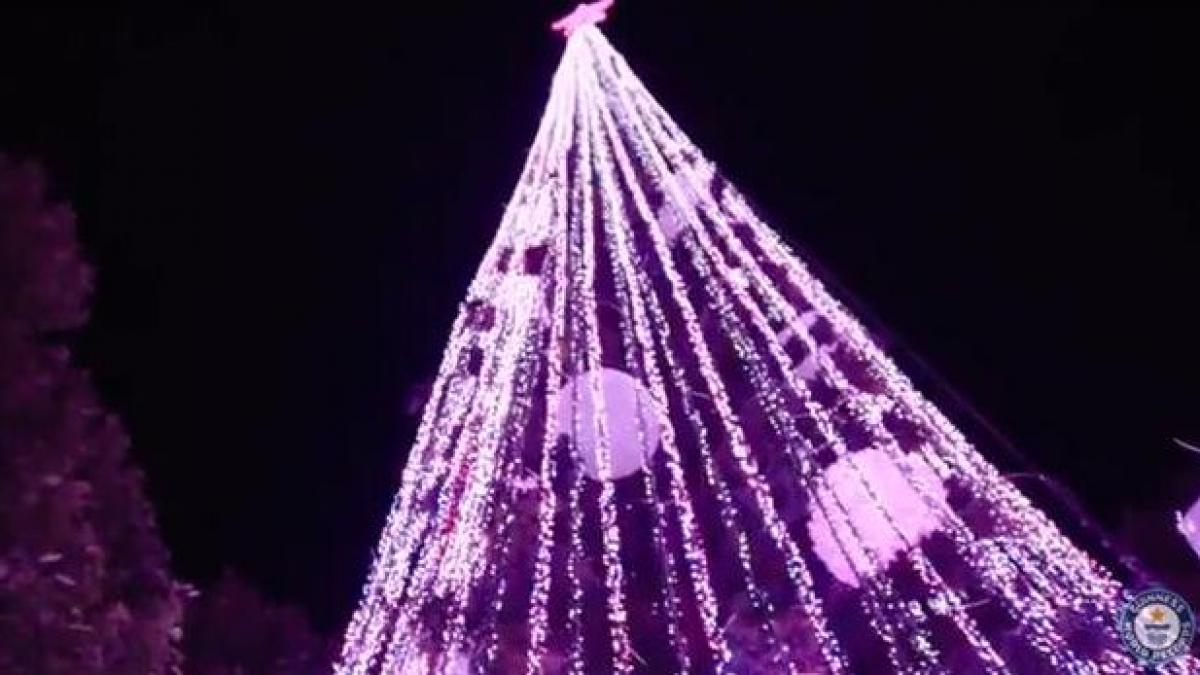 beculete record mondial brad instalatie