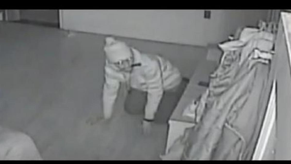 hot casa bronx familie telefon