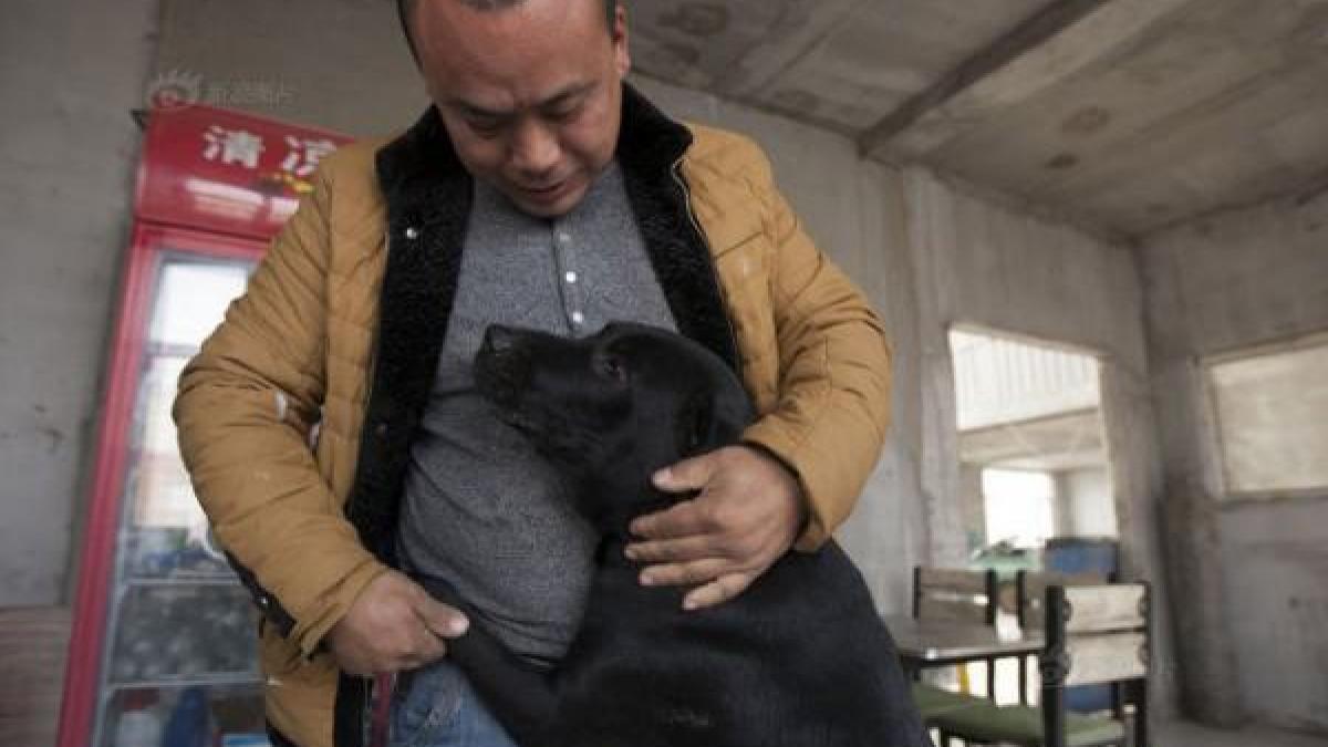 povestea incredibila a milionarului care si a cheltuit toti banii pentru a salva caini de la moarte