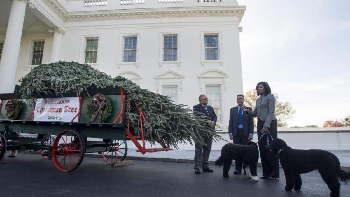 brad craciun casa alba obama