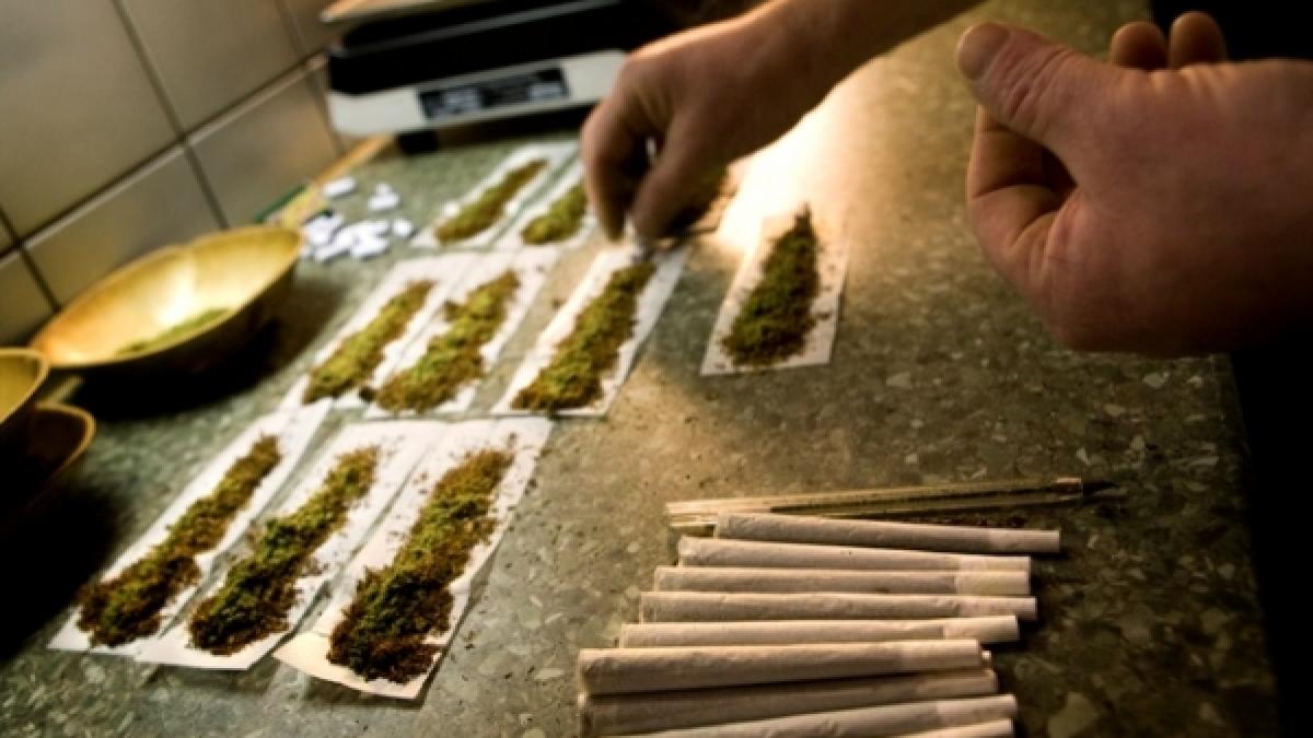 cannabis confiscat arestari vrancea