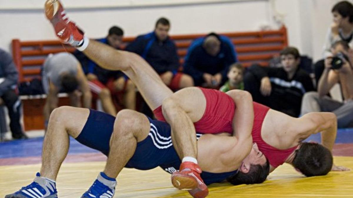 medalii lupte libere nisa