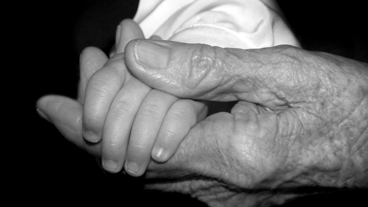 imbatranirea inteligenta japonia