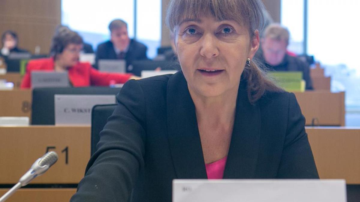 sinteza zilei monica macovei