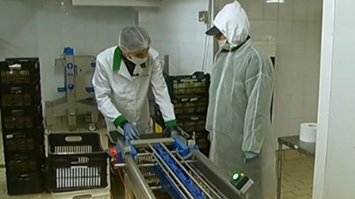 produs in tara ta cum sa traim romaneste mai usor in fiecare zi